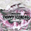 Trippy Iceberg