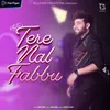 About Tere Nal Fabbu Song