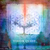 About Vision Quest Song