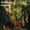 Ambient Meditation with Monk, Pt. 1