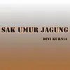 About Sak Umur Jagung Song