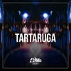 Tartaruga