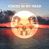About Voices In My Head Song