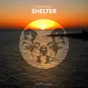 Shelter