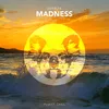 About Madness Song