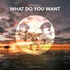 About What Do You Want Song