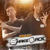 About Shake Back Song