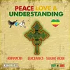 About Peace, Love and Understanding Song