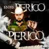 About Entre Perico Y Perico, Soy Michoacano Song