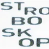 About Stroboskop Song