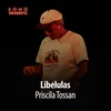 About Libélulas Song
