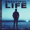 About Beautiful Life Song
