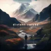 About distant voices Song