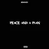 PEACE AND A PLAN