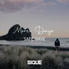 About More Days Song