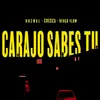 About Carajo Sabes Tu Song