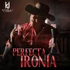 About Perfecta Ironía Song