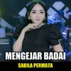 About Mengejar Badai Song