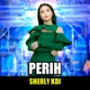 About Perih Song