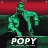 About Popy Song