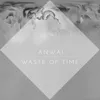 About Waste of Time Song