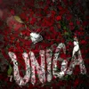 About Unica Song