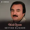 About Dilek Qızım Song