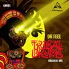 Tribal Drums