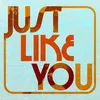 About Just Like You Song