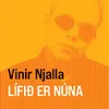 About Lífið er núna Song