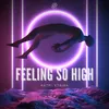About Feeling So High Song