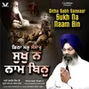 Ditha Sabh Sansaar Sukh Na Naam Bin