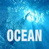 About Ocean Song