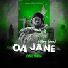 About Oa Jane (Mary Jane) Song