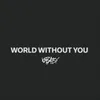 World Without You