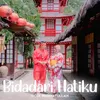 About Bidadari Hatiku Song