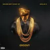 About Groovy (feat. Soulja K) Song