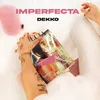 About Imperfecta Song