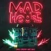 About Madhouse Song