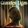 About Grandes Ligas Song