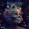 About Soul Echo Song