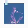 About Leave Song