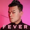 About FEVER Song