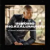 About Inkomo Ingazalumuntu Song