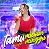 Tamu Malam Minggu