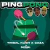 About Ping Pong Song