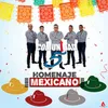 About Homenaje Mexicano Song