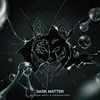 About Dark Matter Song