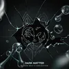 Dark Matter