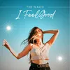 About I Feel Good Song